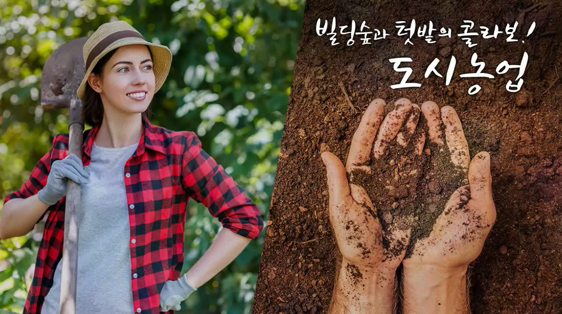 교육과정사진